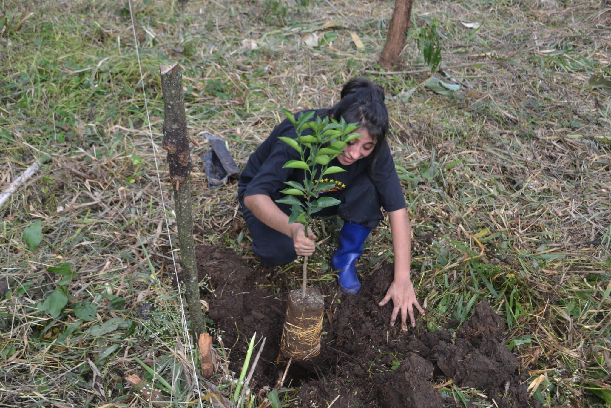Mujer plantando arbol